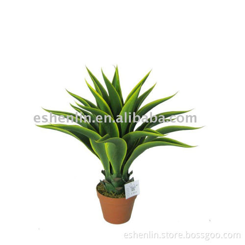 environmental artificial agave